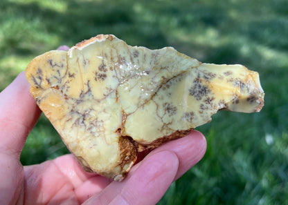 Australian Dendritic Opal Specimen