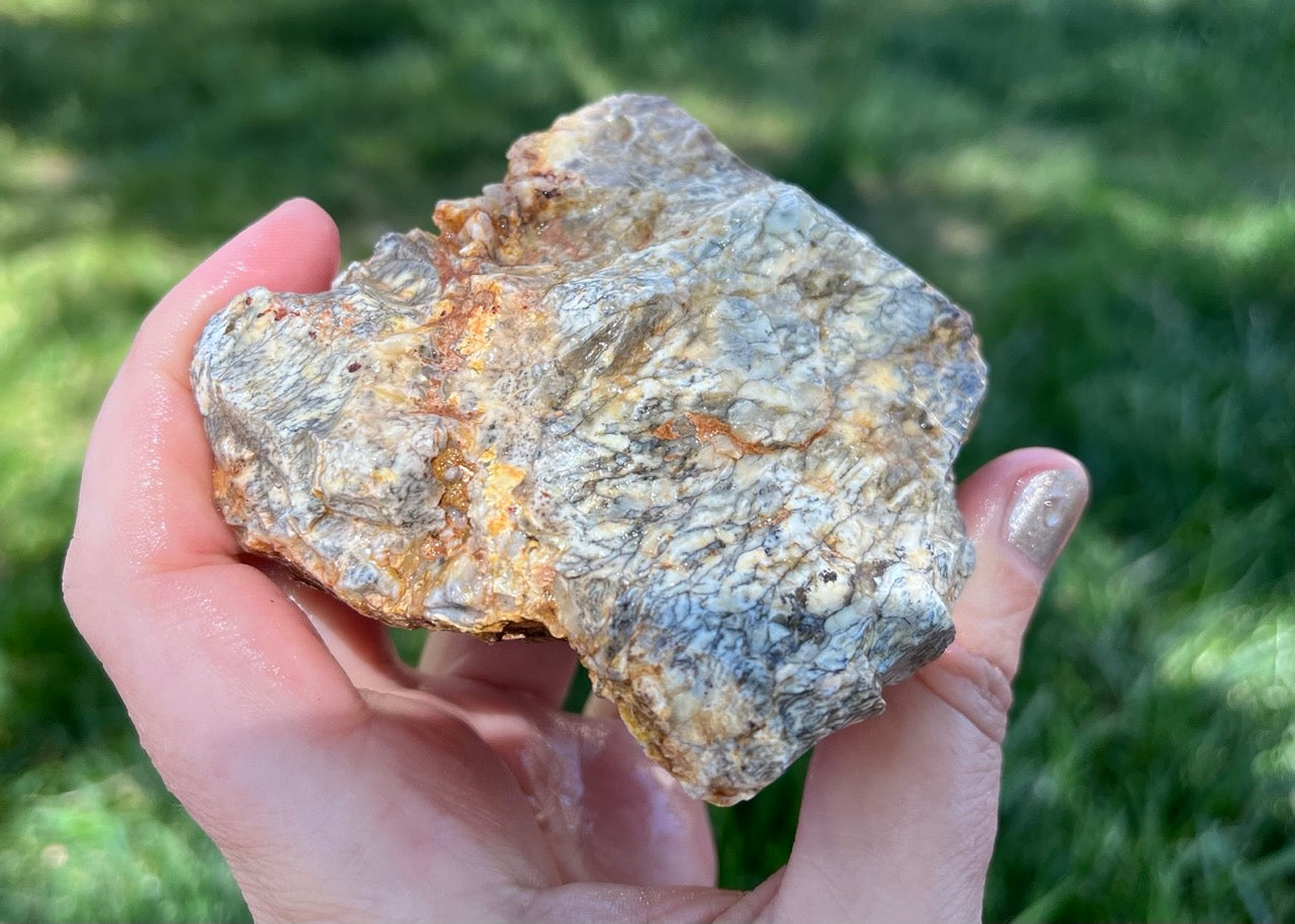 Australian Dendritic Opal Lapidary Rough Rock Specimen - Lucky Calico Gem & Jewelry Co.