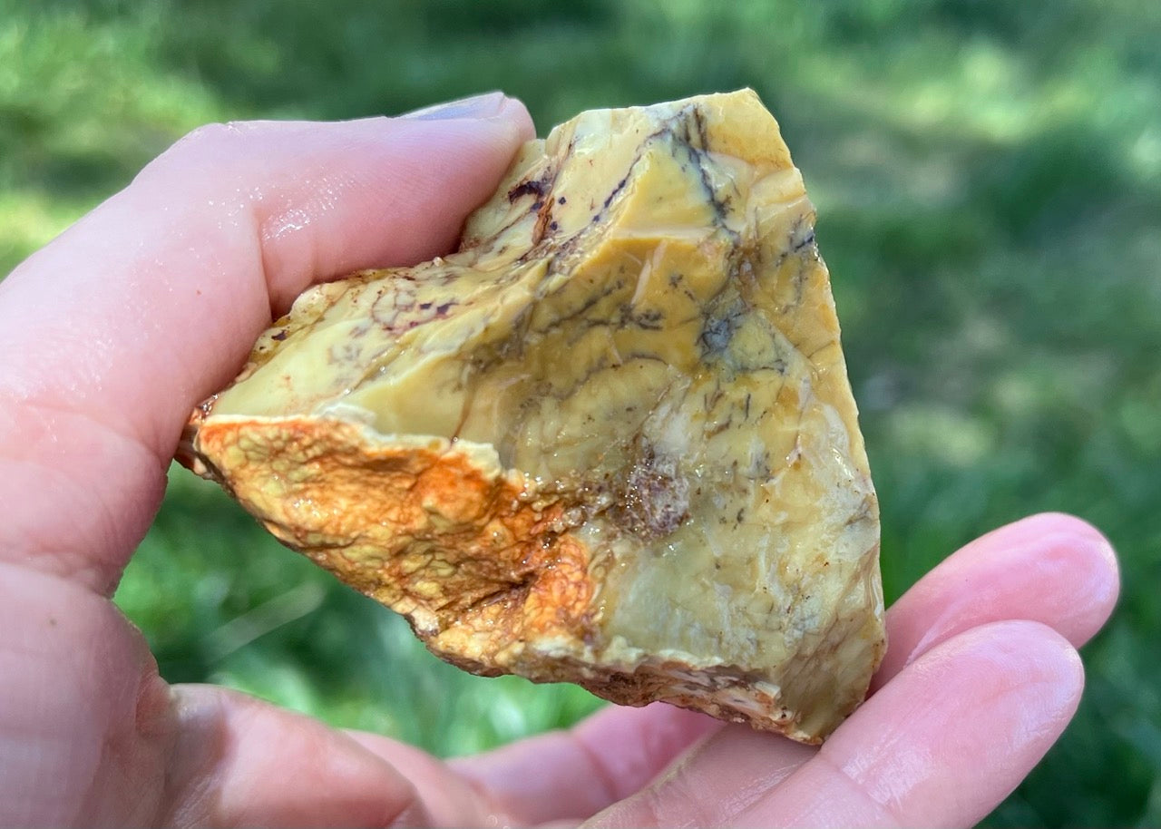 Australian Dendritic Opal Lapidary Rough Rock Specimen - Lucky Calico Gem & Jewelry Co.