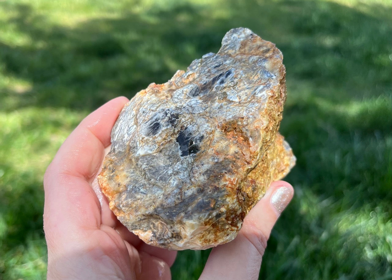 Australian Dendritic Opal Lapidary Rough Rock Specimen - Lucky Calico Gem & Jewelry Co.