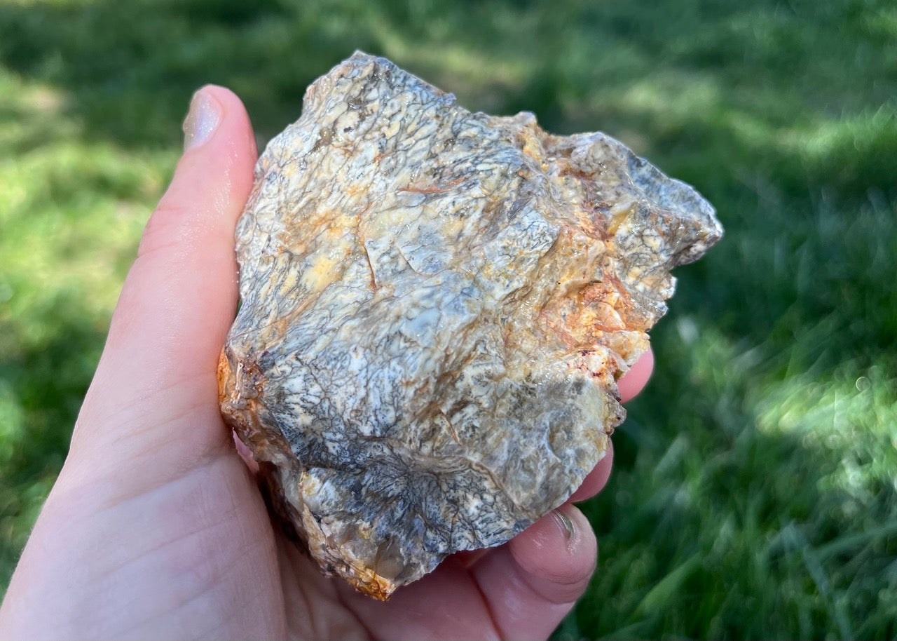 Australian Dendritic Opal Lapidary Rough Rock Specimen - Lucky Calico Gem & Jewelry Co.