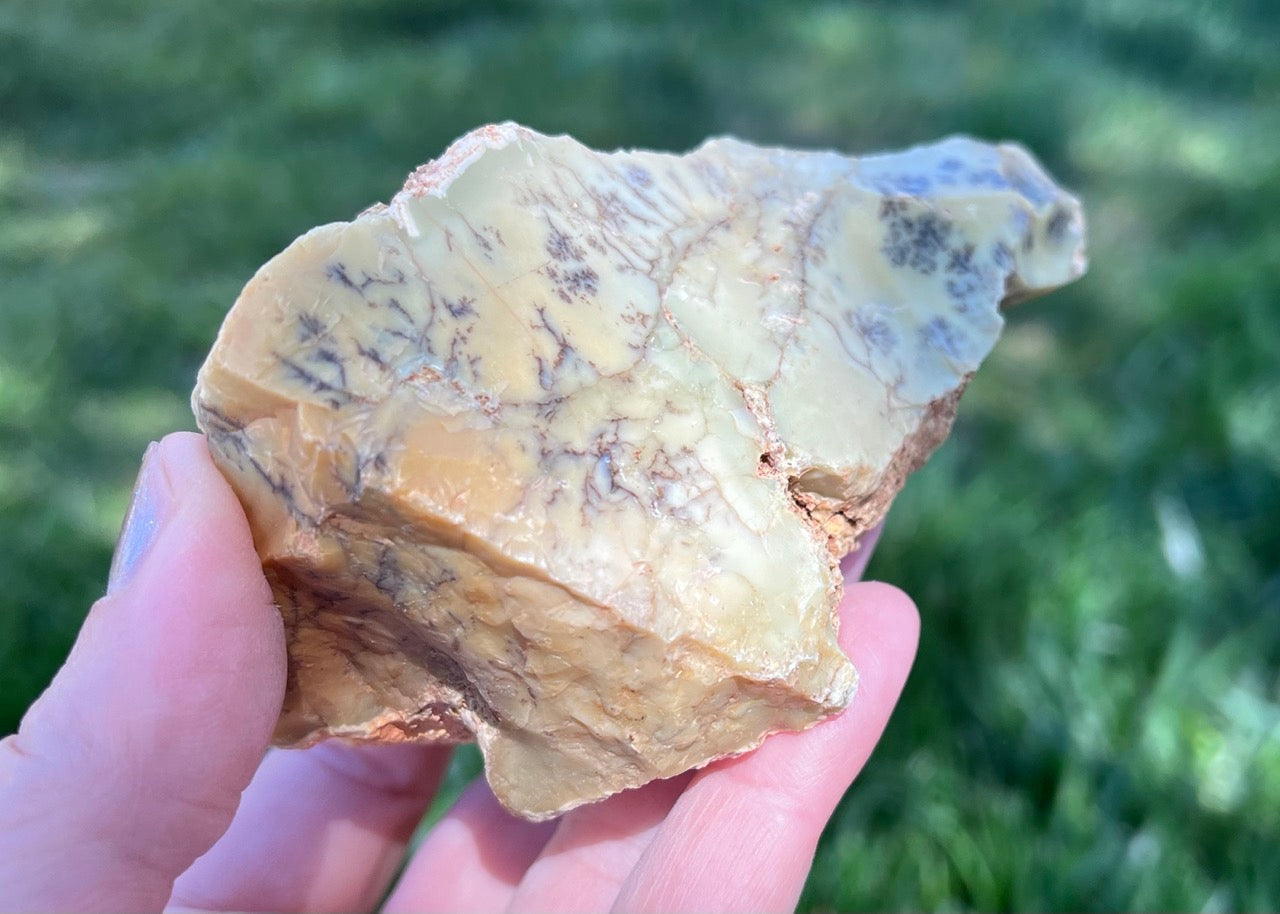 Australian Dendritic Opal Lapidary Rough Rock Specimen - Lucky Calico Gem & Jewelry Co.