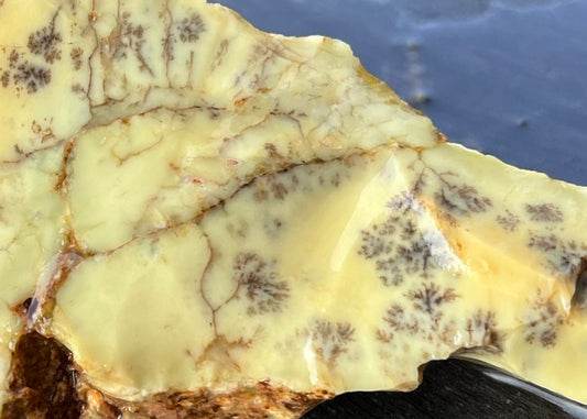 Australian Dendritic Opal Lapidary Rough Rock Specimen - Lucky Calico Gem & Jewelry Co.