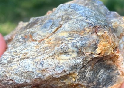 Australian Dendritic Opal Lapidary Rough Rock Specimen - Lucky Calico Gem & Jewelry Co.