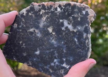 Balmorhea Metallic Plume Agate Slab