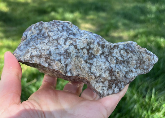 Bug's Eye Rhyolite Lapidary Rough Rock Specimen