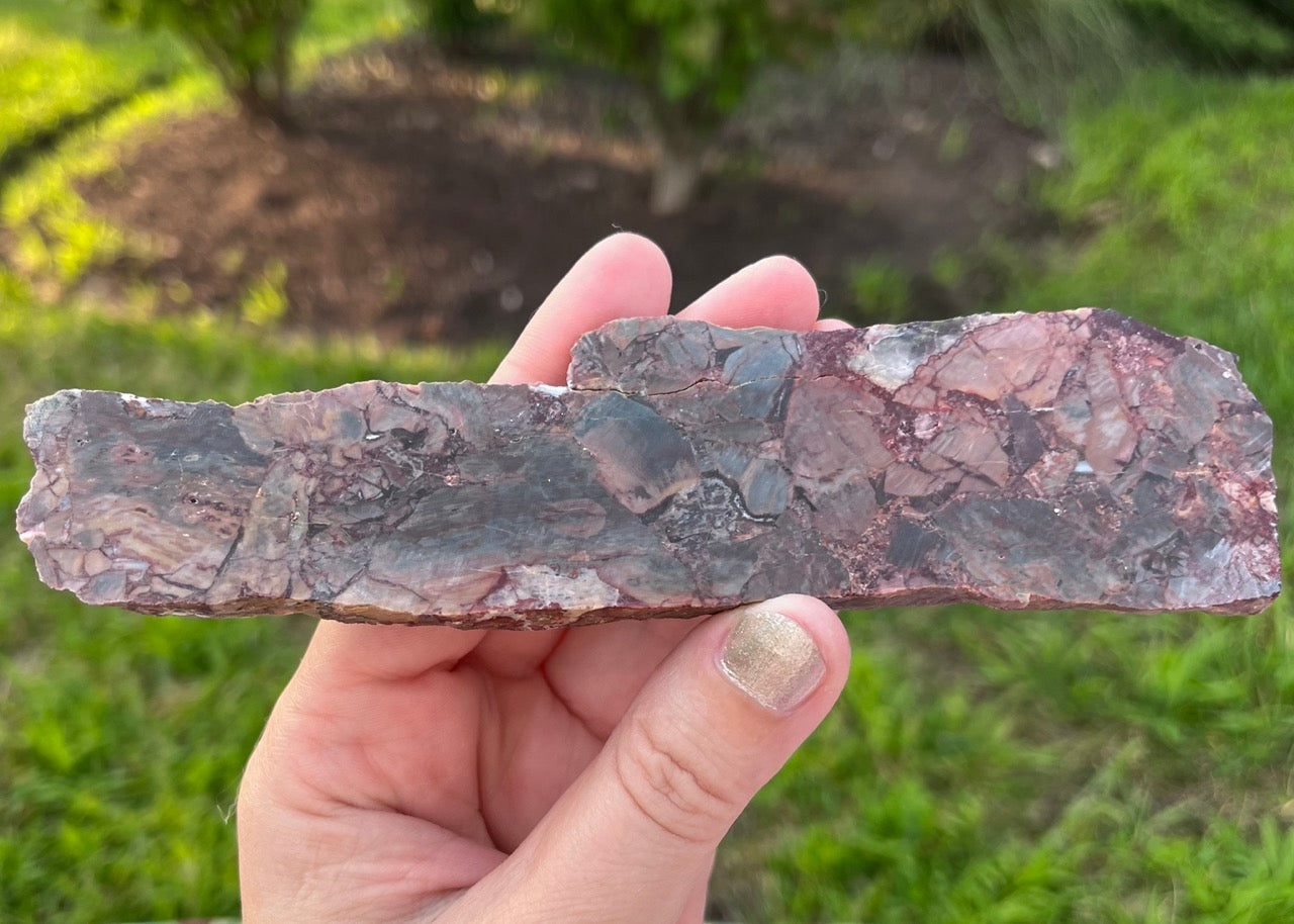 Mexican Butterfly Wing Jasper Rhyolite Lapidary Rock Slab