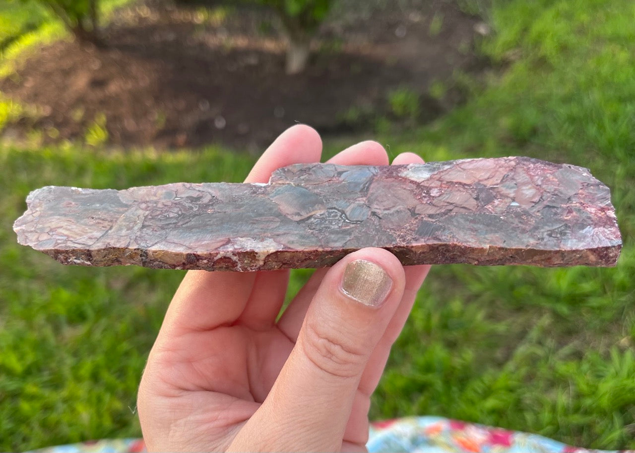 Mexican Butterfly Wing Jasper Rhyolite Lapidary Rock Slab