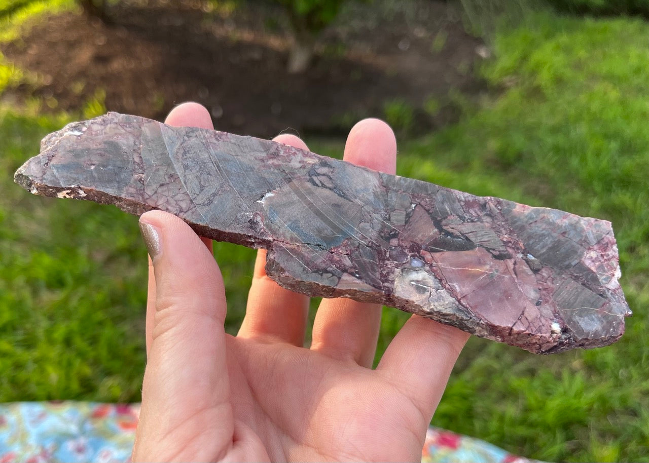 Mexican Butterfly Wing Jasper Rhyolite Lapidary Rock Slab