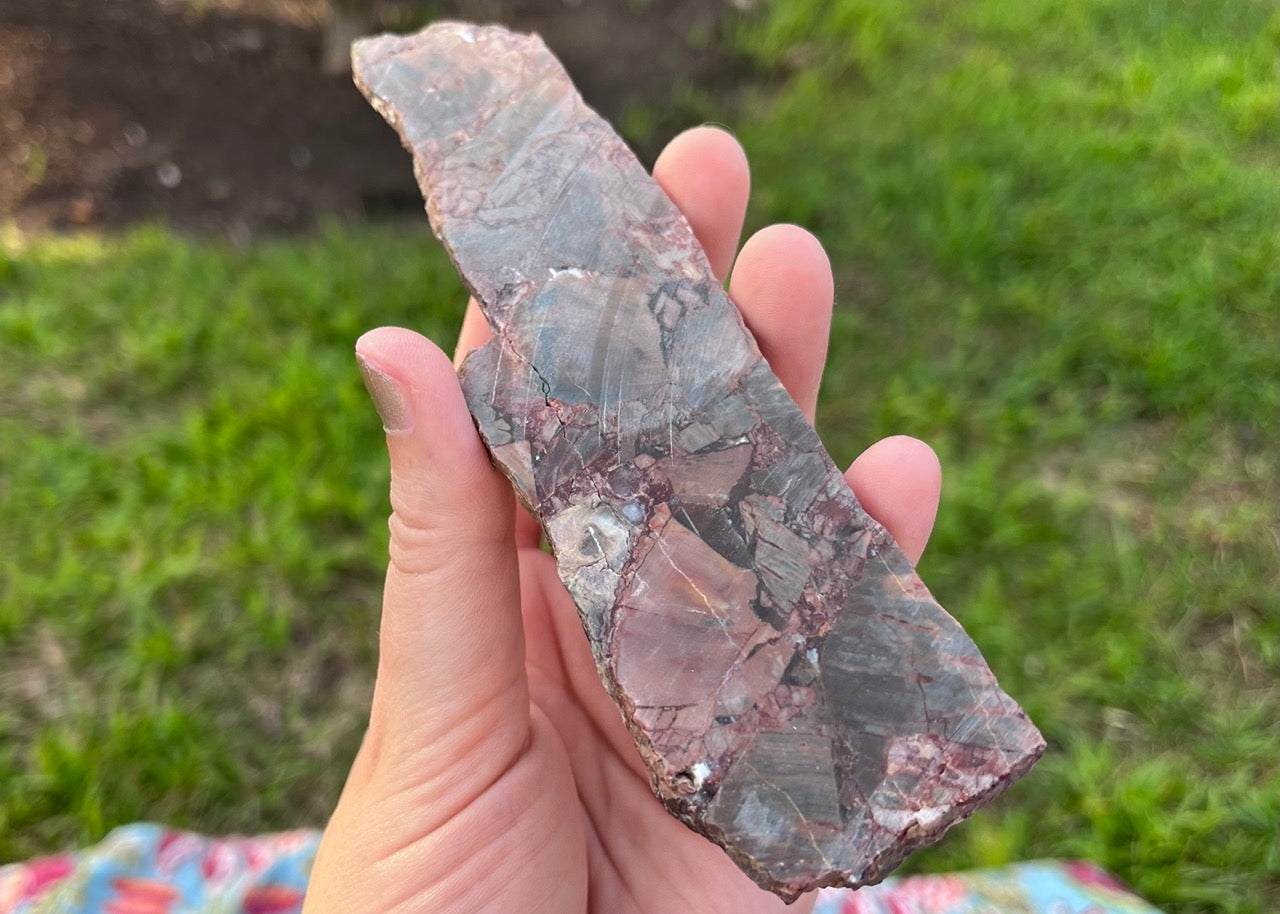 Mexican Butterfly Wing Jasper Rhyolite Lapidary Rock Slab