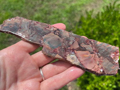 Mexican Butterfly Wing Jasper Rhyolite Lapidary Rock Slab