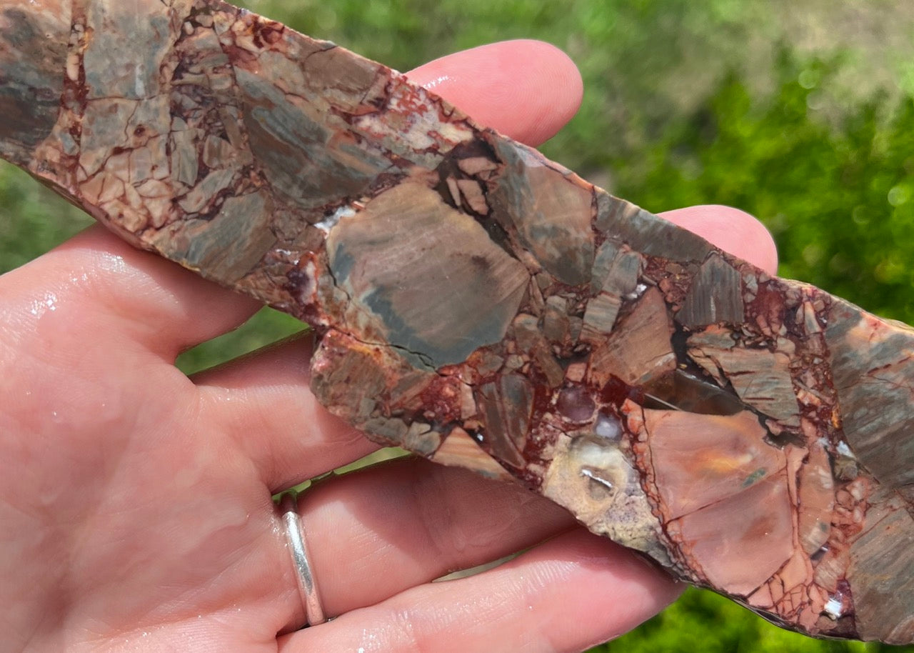 Mexican Butterfly Wing Jasper Rhyolite Lapidary Rock Slab