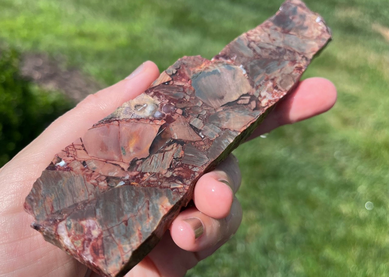 Mexican Butterfly Wing Jasper Rhyolite Lapidary Rock Slab