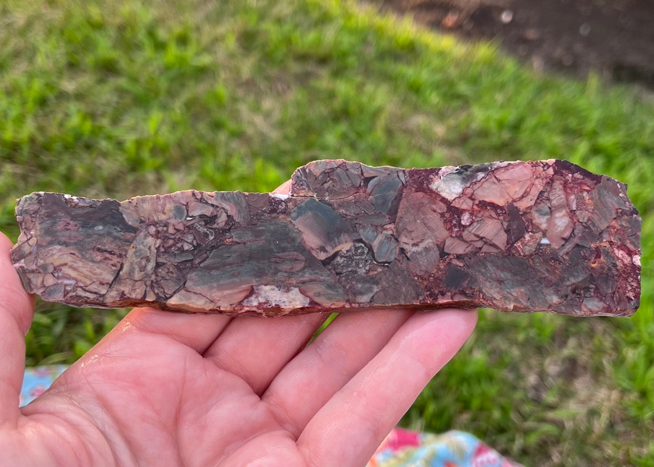 Mexican Butterfly Wing Jasper Rhyolite Lapidary Rock Slab