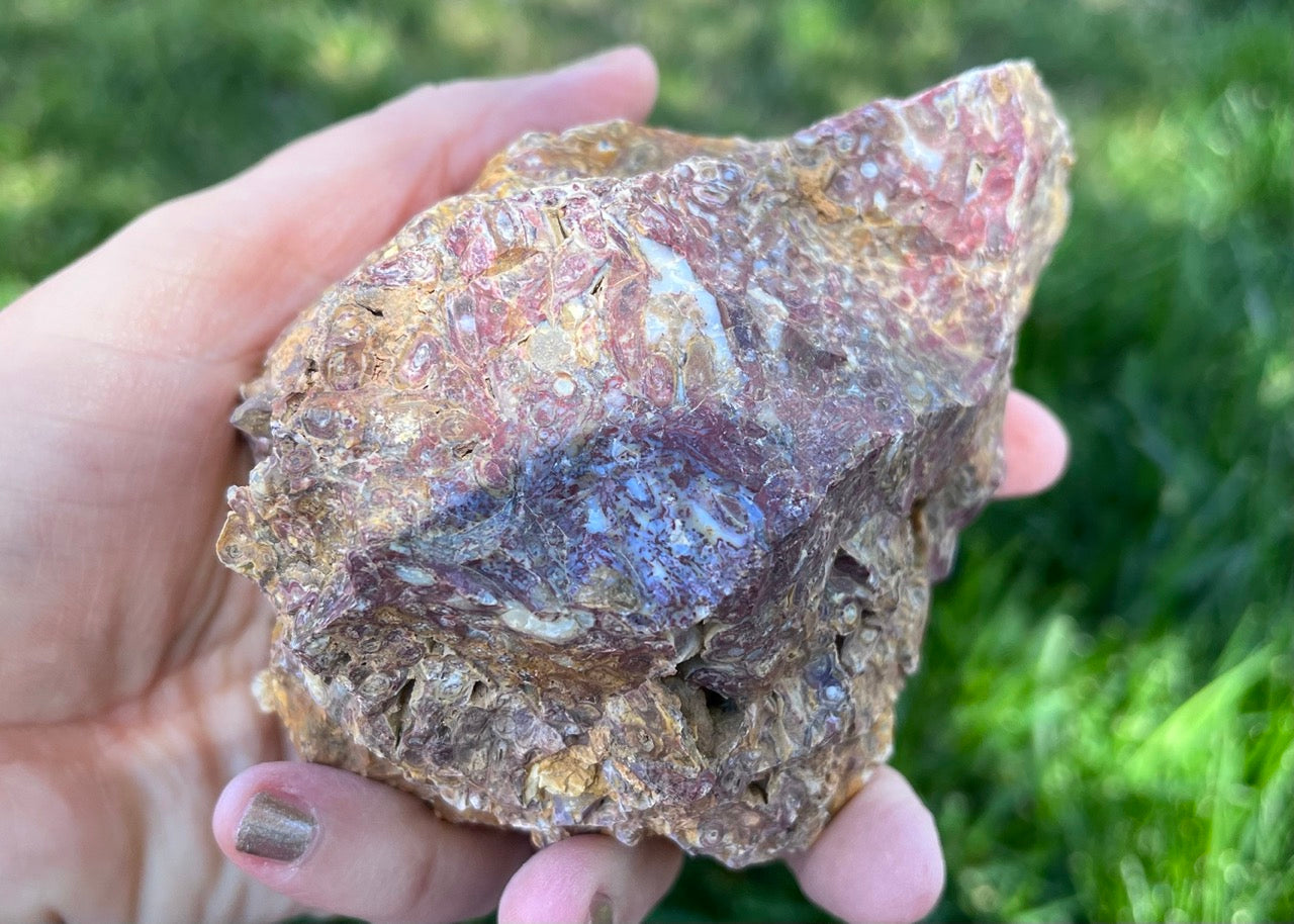 Indonesian Petrified Caddisfly Agate Fossil Lapidary Rough Rock Specimen