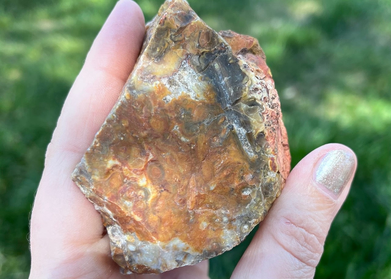 Indonesian Petrified Caddisfly Agate Fossil Lapidary Rough Rock Specimen