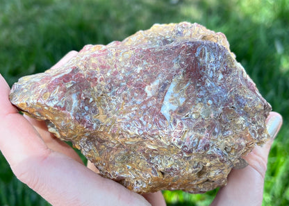 Indonesian Petrified Caddisfly Agate Fossil Lapidary Rough Rock Specimen