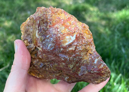 Indonesian Petrified Caddisfly Agate Fossil Lapidary Rough Rock Specimen