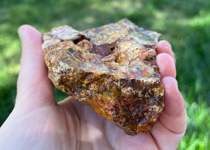 Indonesian Petrified Caddisfly Agate Fossil Lapidary Rough Rock Specimen