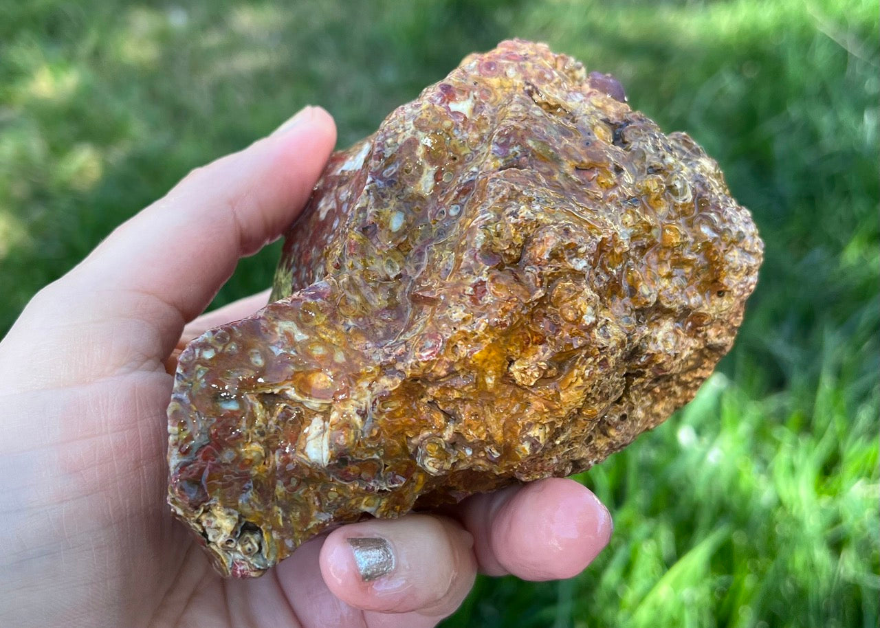 Indonesian Petrified Caddisfly Agate Fossil Lapidary Rough Rock Specimen