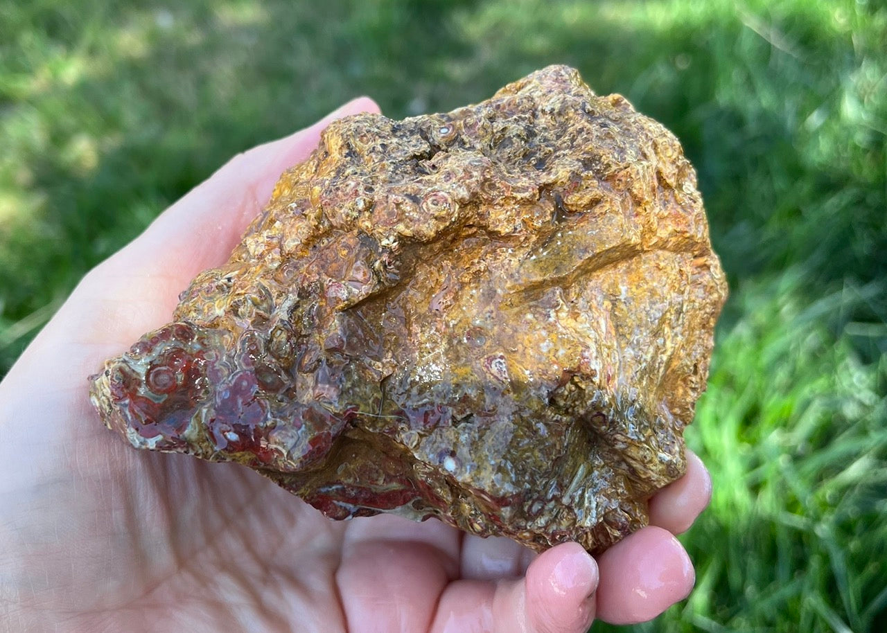 Indonesian Petrified Caddisfly Agate Fossil Lapidary Rough Rock Specimen