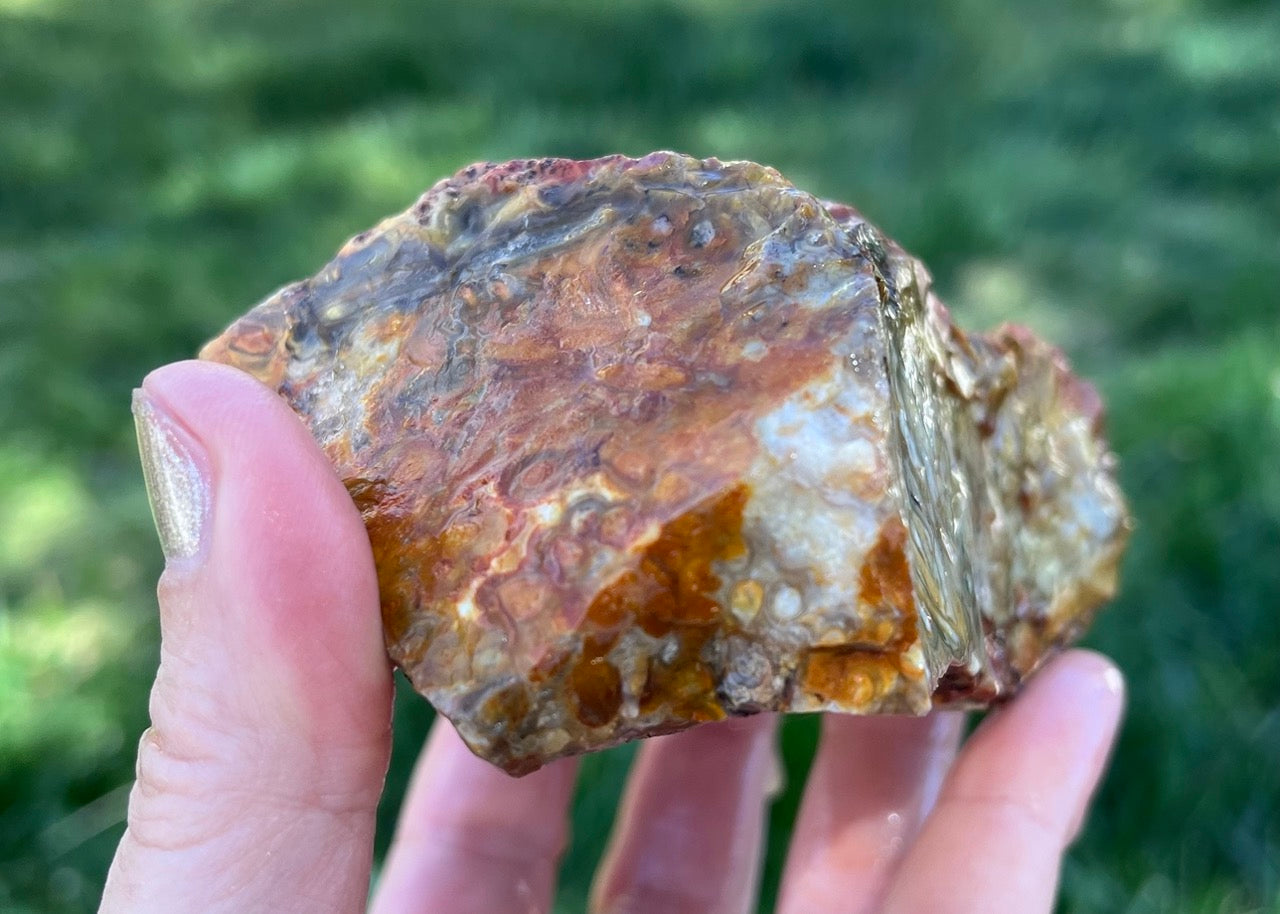 Indonesian Petrified Caddisfly Agate Fossil Lapidary Rough Rock Specimen