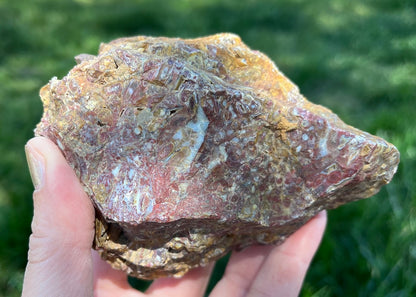 Indonesian Petrified Caddisfly Agate Fossil Lapidary Rough Rock Specimen