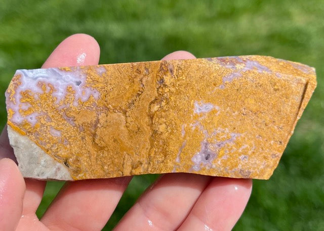 Rare Mexican Calico Lace Agate Lapidary Rock Slab