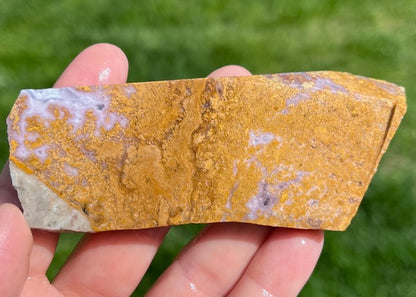 Rare Mexican Calico Lace Agate Lapidary Rock Slab