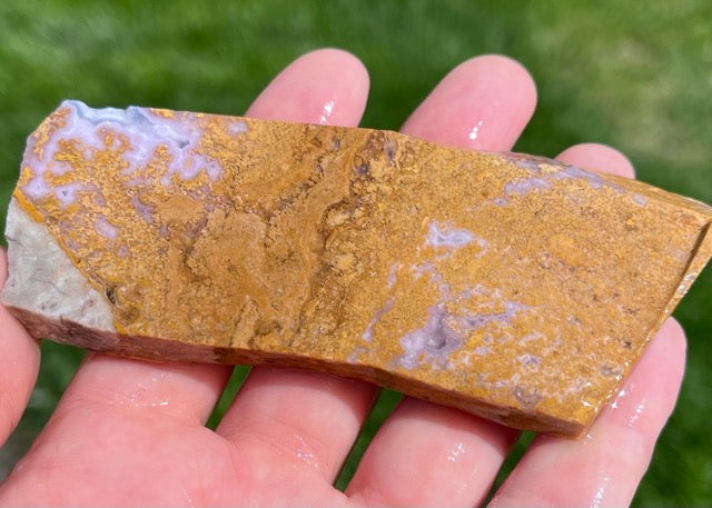 Rare Mexican Calico Lace Agate Lapidary Rock Slab