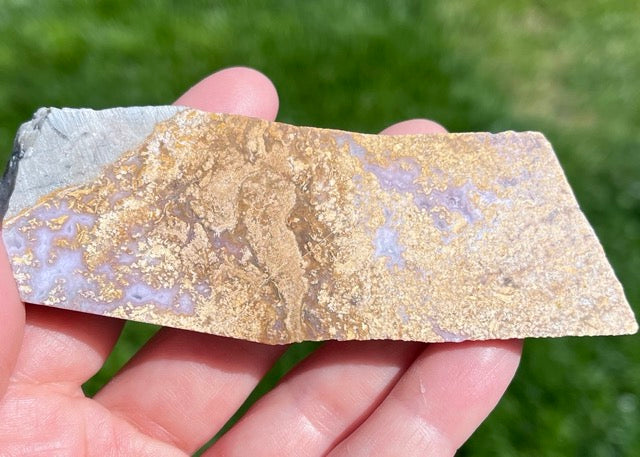 Rare Mexican Calico Lace Agate Lapidary Rock Slab