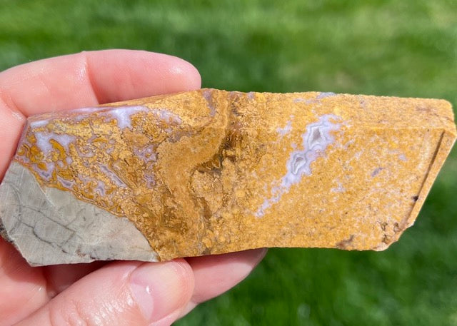 Rare Mexican Calico Lace Agate Lapidary Rock Slab