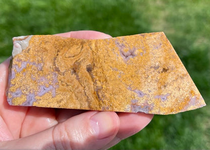 Rare Mexican Calico Lace Agate Lapidary Rock Slab