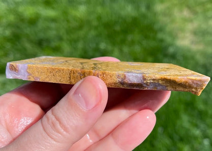 Rare Mexican Calico Lace Agate Lapidary Rock Slab