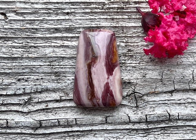 Nevada Crayola Jasper Cabochon