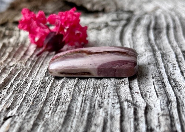 Nevada Crayola Jasper Cabochon