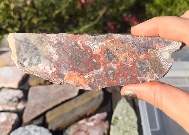 Mexican Crazy Lace Agate Lapidary Rock Slab