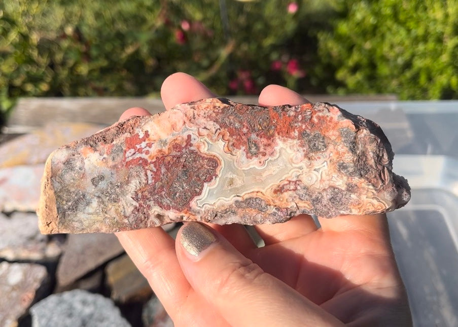 Mexican Crazy Lace Agate Lapidary Rock Slab