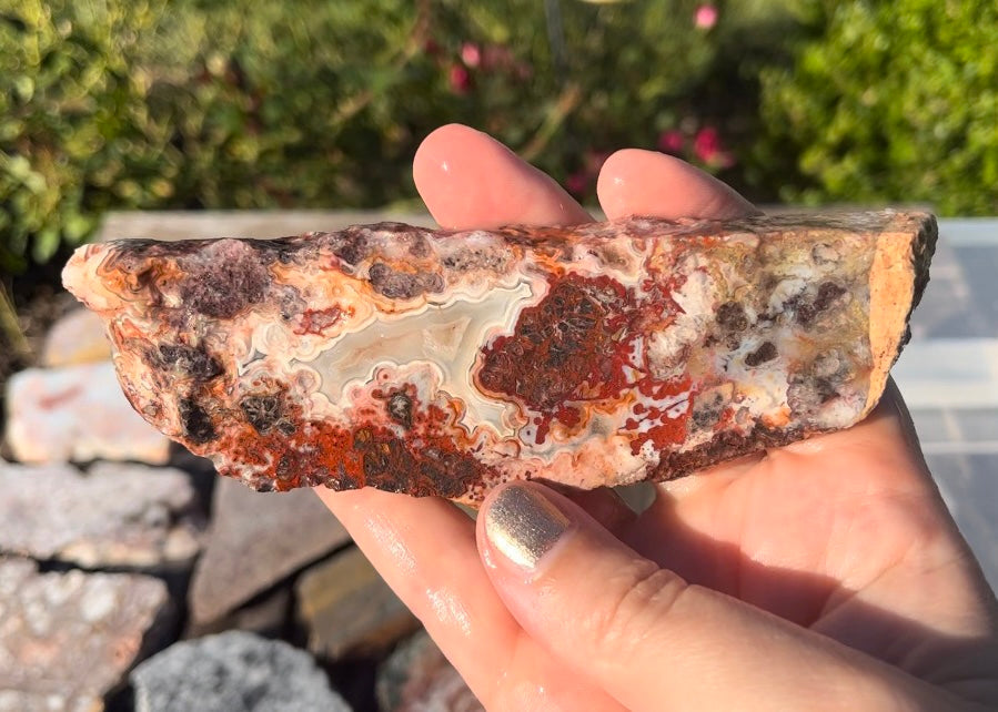 Mexican Crazy Lace Agate Lapidary Rock Slab