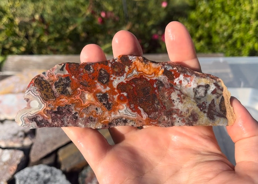 Mexican Crazy Lace Agate Lapidary Rock Slab