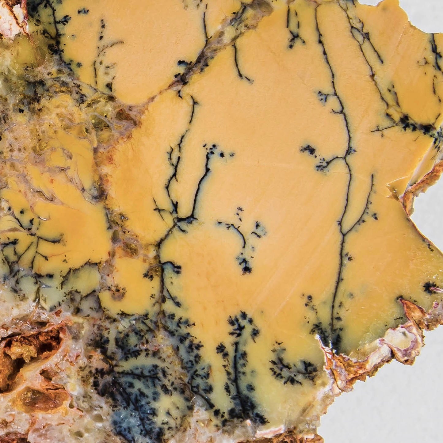 Australian Dendritic Opal Lapidary Rock Slab