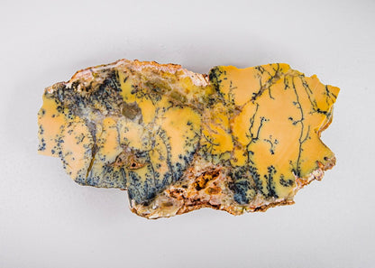 Australian Dendritic Opal Lapidary Rock Slab