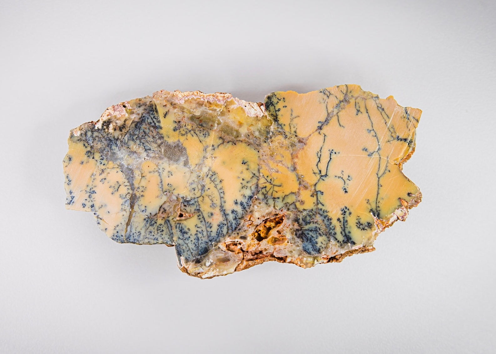 Australian Dendritic Opal Lapidary Rock Slab