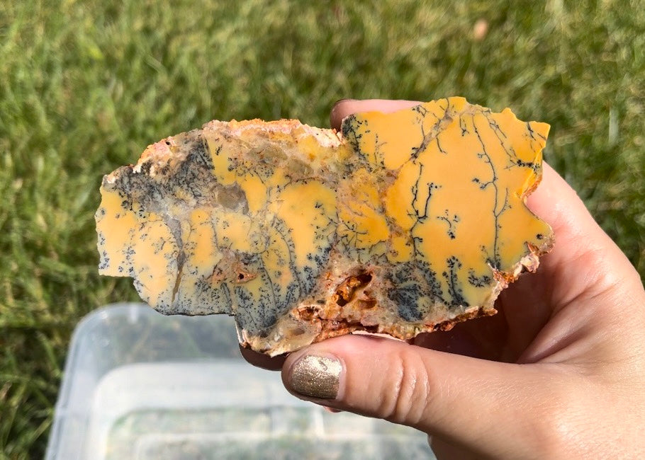 Australian Dendritic Opal Lapidary Rock Slab