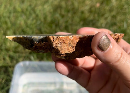 Australian Dendritic Opal Lapidary Rock Slab