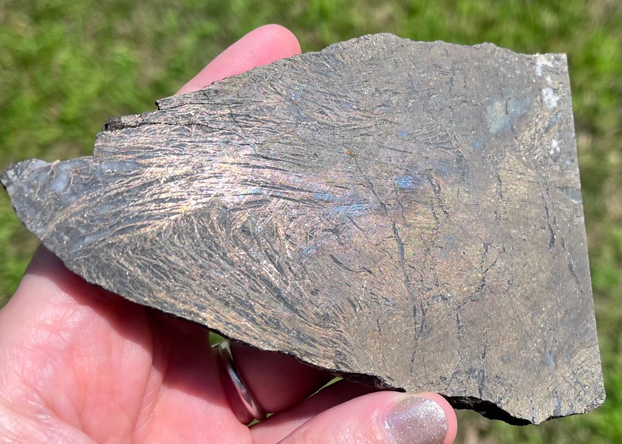 Rare German Metallic Feather Pyrite Lapidary Rock Slab