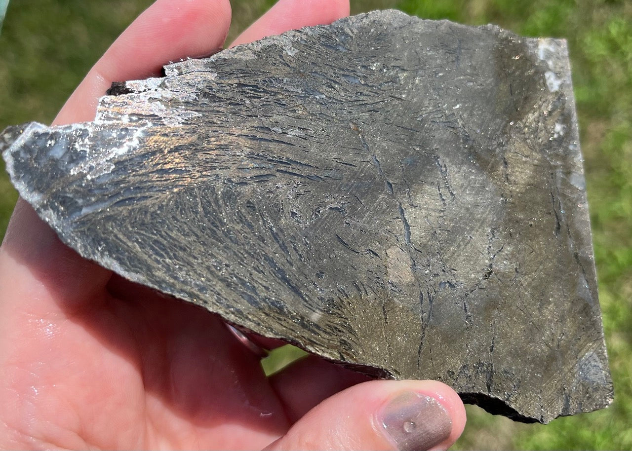 Rare German Metallic Feather Pyrite Lapidary Rock Slab