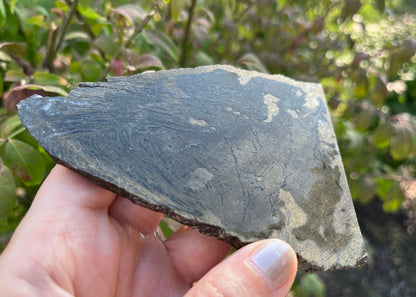 Rare German Metallic Feather Pyrite Lapidary Rock Slab