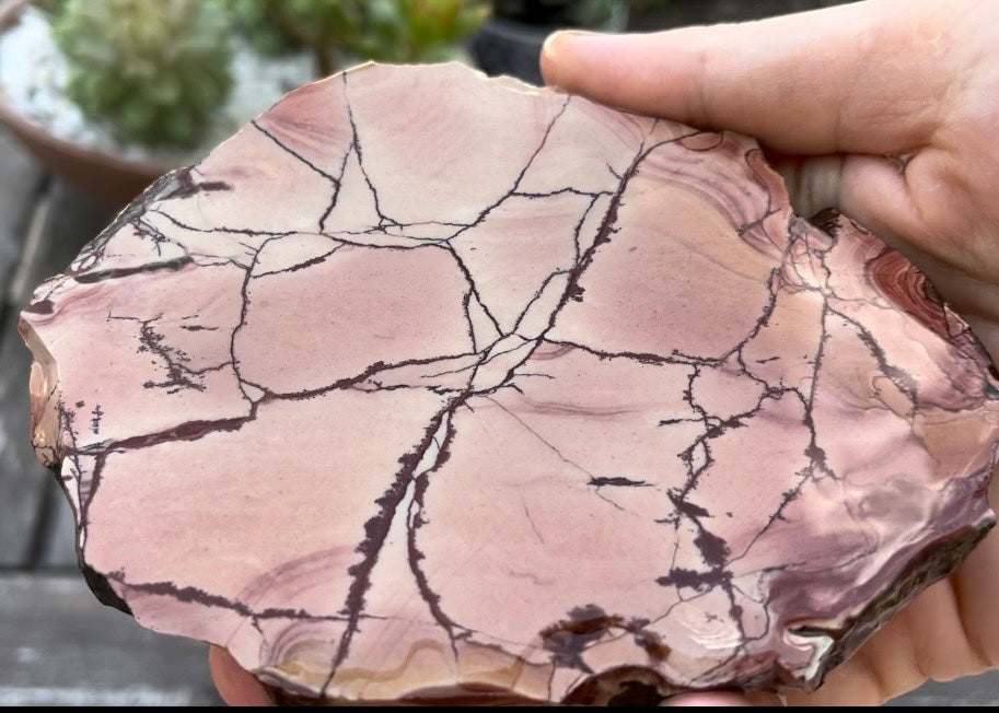 Nevada Pink Fire Ledge Jasper Lapidary Rock Slab