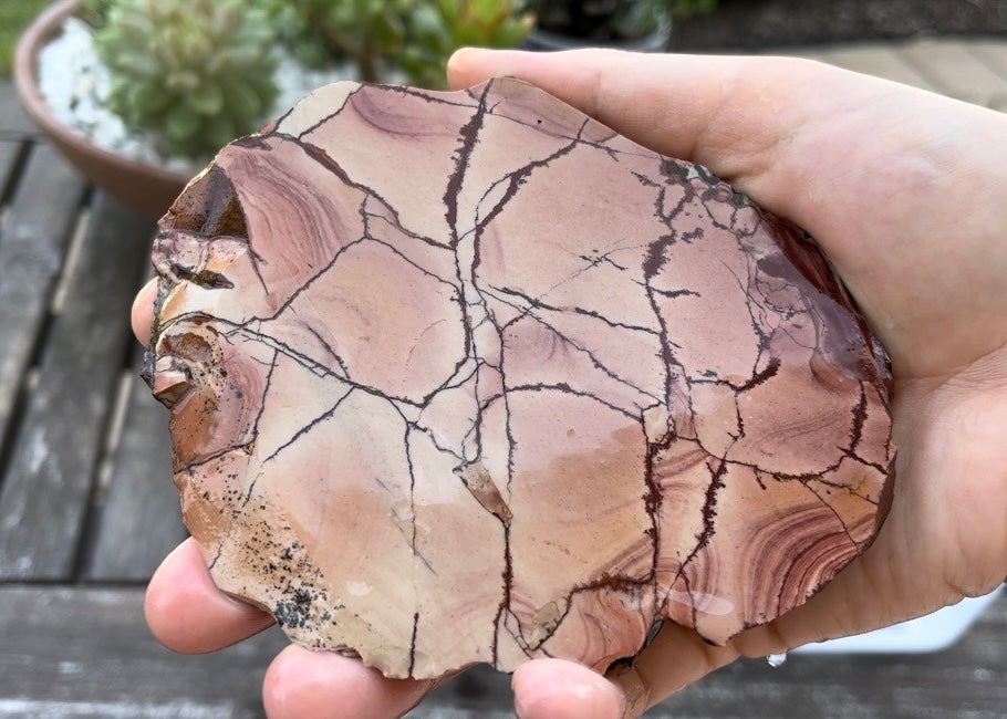 Nevada Pink Fire Ledge Jasper Lapidary Rock Slab